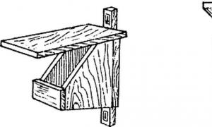 How to buy healthy seedlings of vegetables and flowers An excerpt characterizing an artificial nesting box for birds