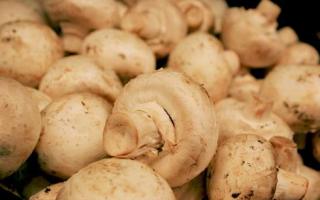 The whole truth about champignons: benefits and versatility