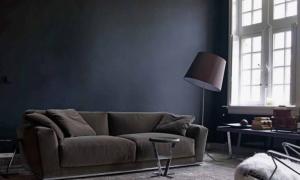 Schwarz-weißes Wohnzimmer: Designmerkmale, echte Beispiele im Innenraum