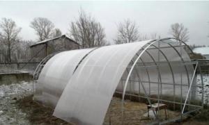 Elegir un lugar para instalar un invernadero en el sitio Instalar un invernadero usted mismo