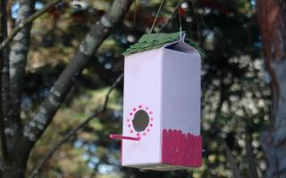Z czego można zrobić domek dla ptaków?